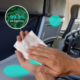 Travel Sanitizing Wipes | 10 Count (1 Pack of 10)